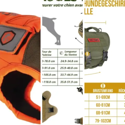 Top 3 des meilleurs gilets de protection terrains difficiles (mai 2026)