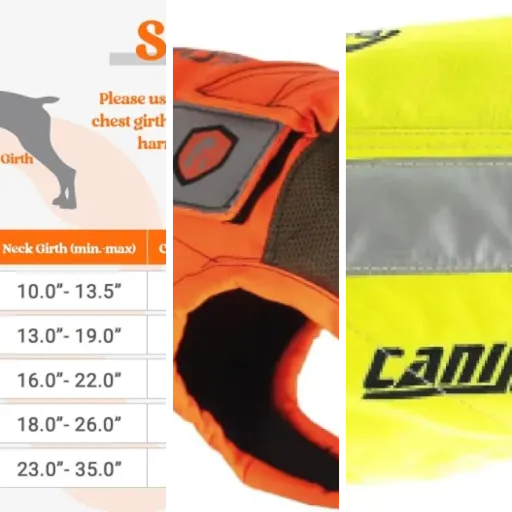 Les 5 meilleurs gilets de protection premium (mai 2026)