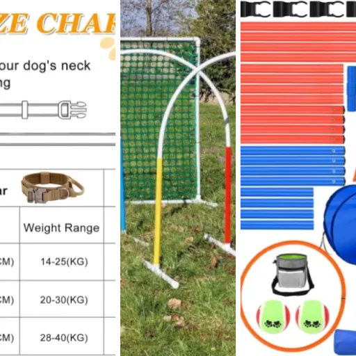 Top 4 des meilleurs équipements chasse battue (mai 2026)