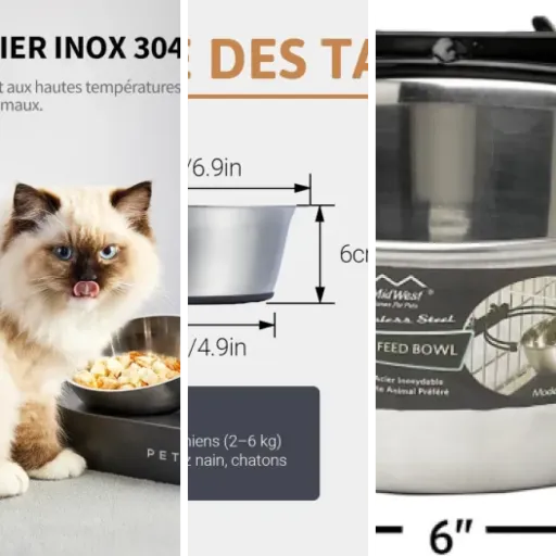 Comparatif des 5 meilleurs gamelles acier inoxydable premium (mai 2026)
