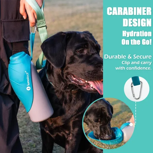 Gourde Isotherme pour Chien 800 ML en Acier Inoxydable – Garde l’Eau Fraîche ou Tiède, Gamelle de Voyage Intégrée, Étanche, Ouverture pour Ajouter Glaçons Nettoyer Facilement (Bleu, 800 ML) Bleu 800 ml