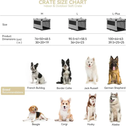 61jkBwMSuFL._AC_SL1500_