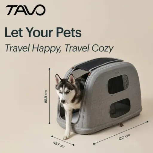 Test TAVO Crispin Cage de transport : une caisse auto sécurisée qui fait (presque) tout bien