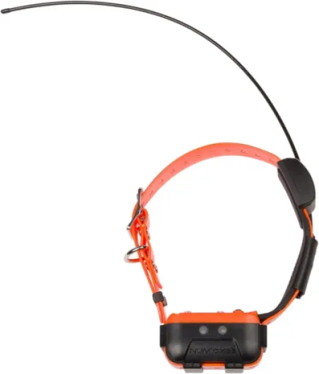 Collier de localisation supplémentaire CANICOM GPS 2 NUM'AXES