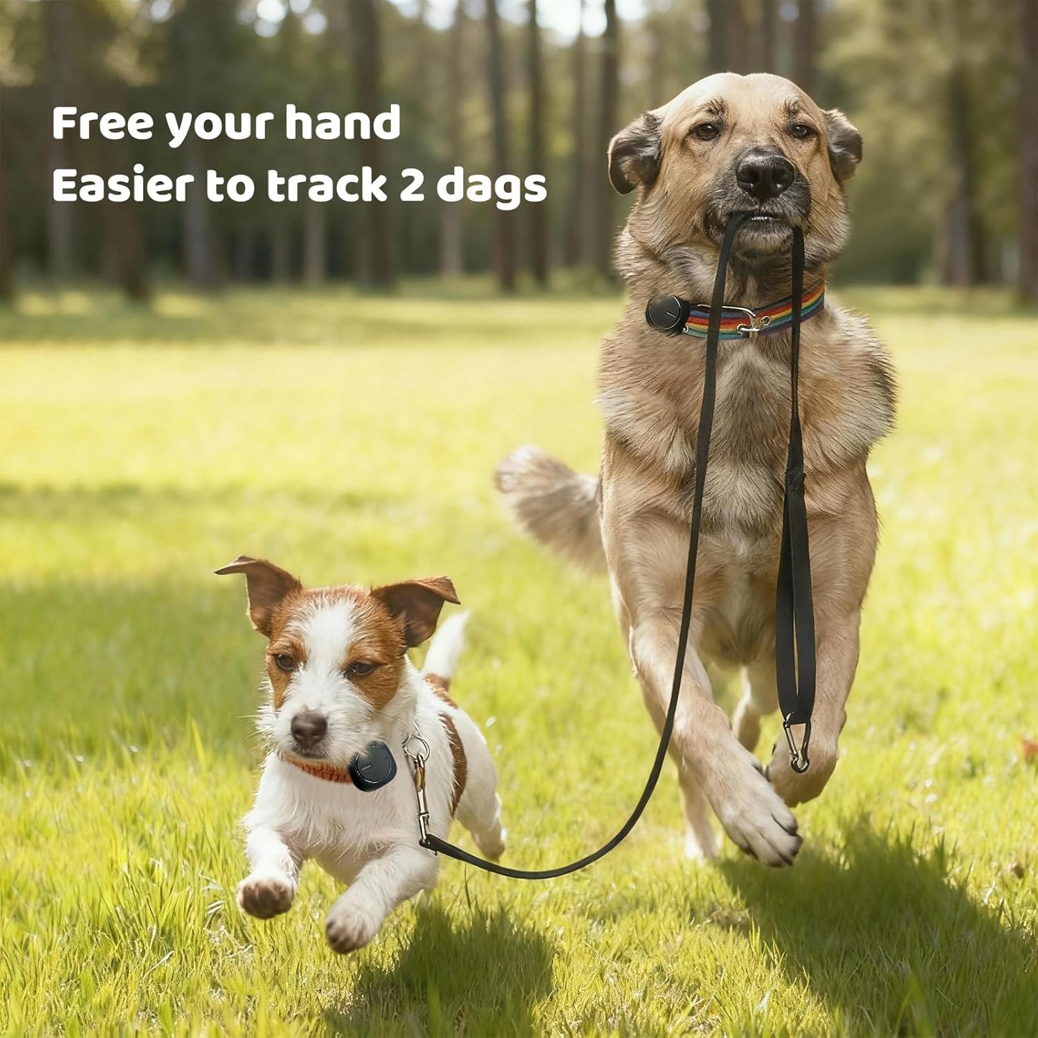 Lot de 2 traceurs GPS d'extérieur pour deux chiens - Suivi en temps réel, pas de téléphone ou de signal nécessaire, parfait pour la randonnée, le camping, les fermes et les grands espaces ouverts, pas