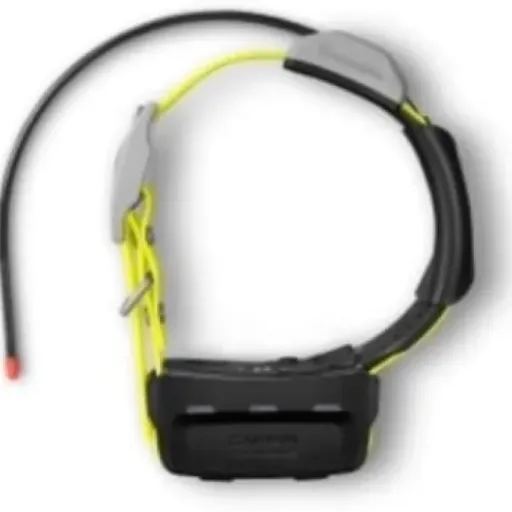 Test Garmin Radio Collier GPS Atemos K5 : le collier sérieux pour ne plus perdre son chien en action