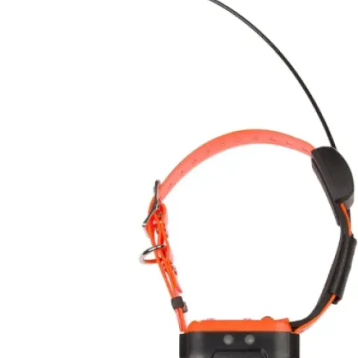 Test Collier de localisation supplémentaire CANICOM GPS 2 NUM'AXES : le collier qui fait le job pour suivre son chien à la chasse