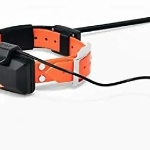 Test collier supplémentaire DOGTRACE X20 : le GPS simple pour gérer une meute sans abonnement