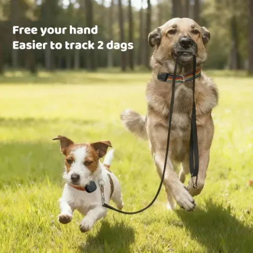 Test Aorkuler Tracker2 : le GPS pour chiens qui fonctionne même sans réseau