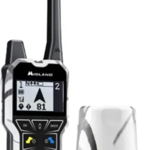 Test Beeper One GPS : le collier pour chien de chasse qui fait le job sans fioritures