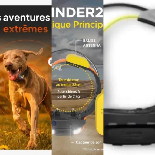 Top 6 des meilleurs colliers de repérage terrain accidenté (2026)