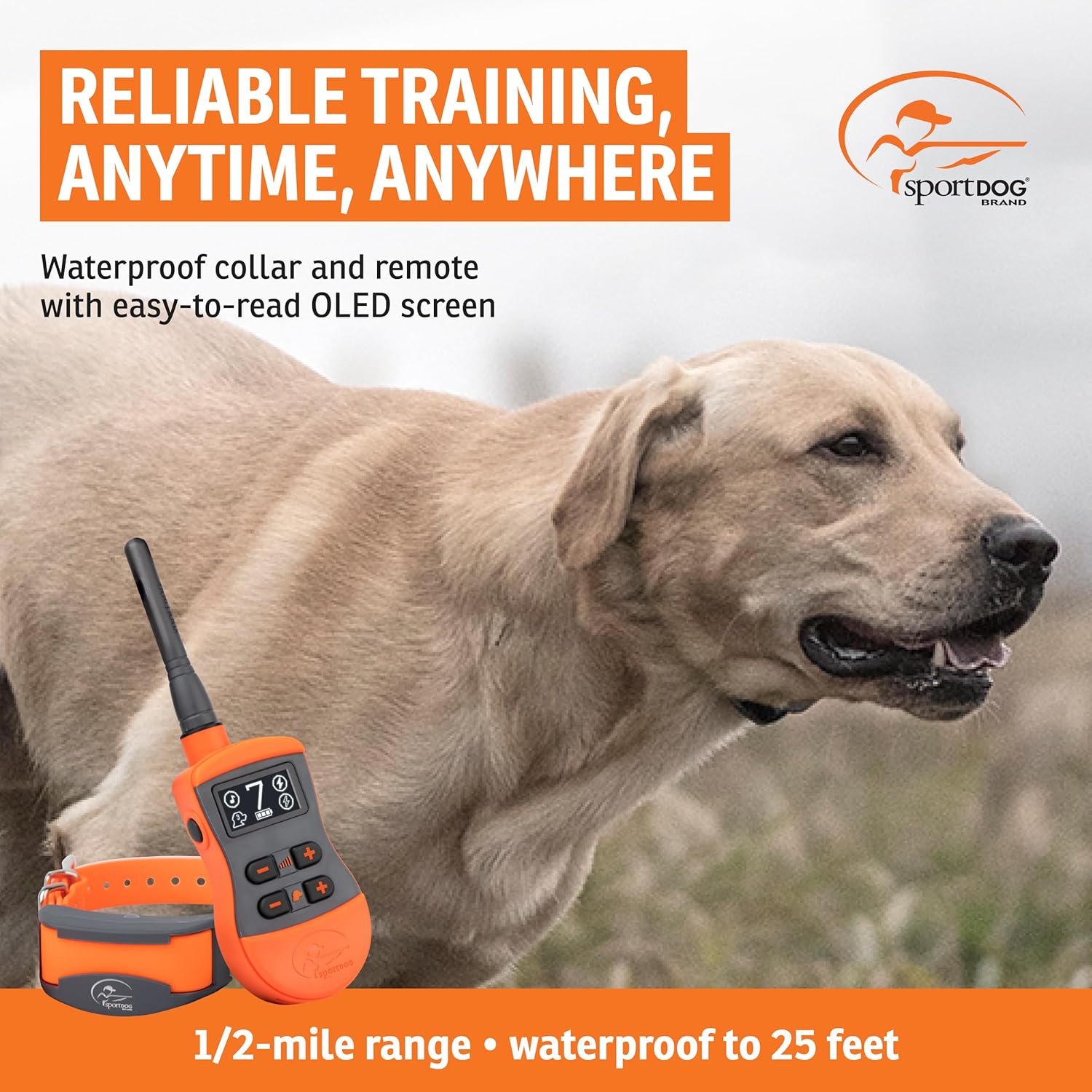 Collier de Dressage pour Chien avec Télécommande SportTrainer, Submersible, 10 Niveaux de Stimulation Statique, Vibration et Signal Sonore - Rechargeable - Portée 800 m