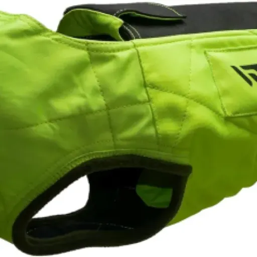 Test Gilet X-Protect pour Teckel : protection sérieuse, quelques détails agaçants