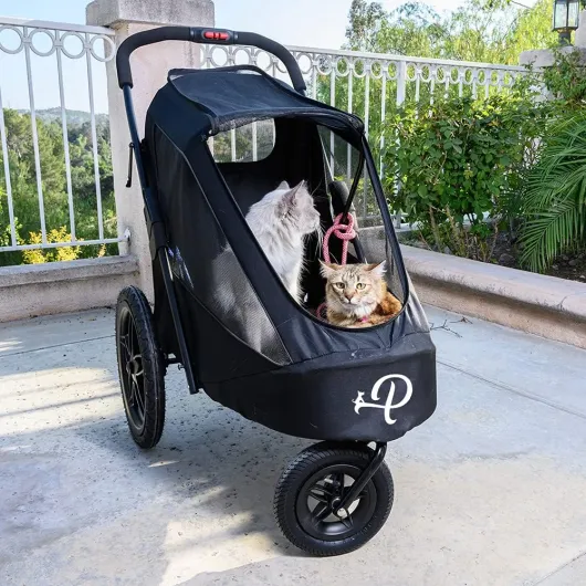 Breeze Black - Remorque de vélo de Luxe pour Chien - Jogger de Grande Taille - Pliage à Une Main - Pneus pneumatiques - Housse de Pluie Incluse - Pompe à Pneu - Adaptateur de vélo