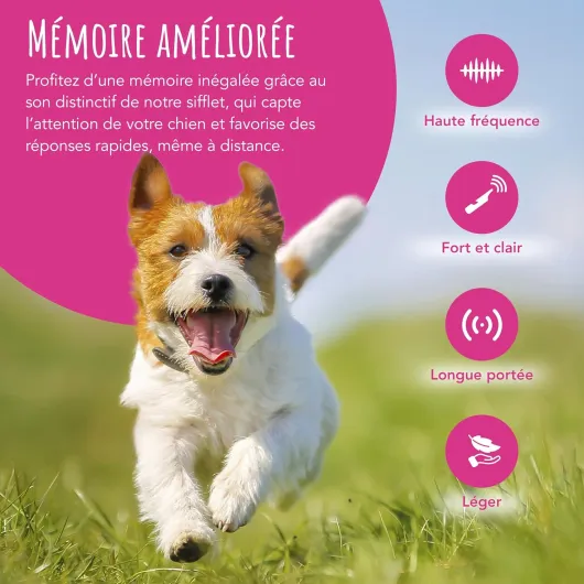 Sifflet TDL pour dressage de chien de chasse avec lanière - Sifflet pour chien avec son fort, tonalité solide et son à longue portée - Sifflet de rappel pour chien haute fréquence idéal pour la Noir avec corde militaire