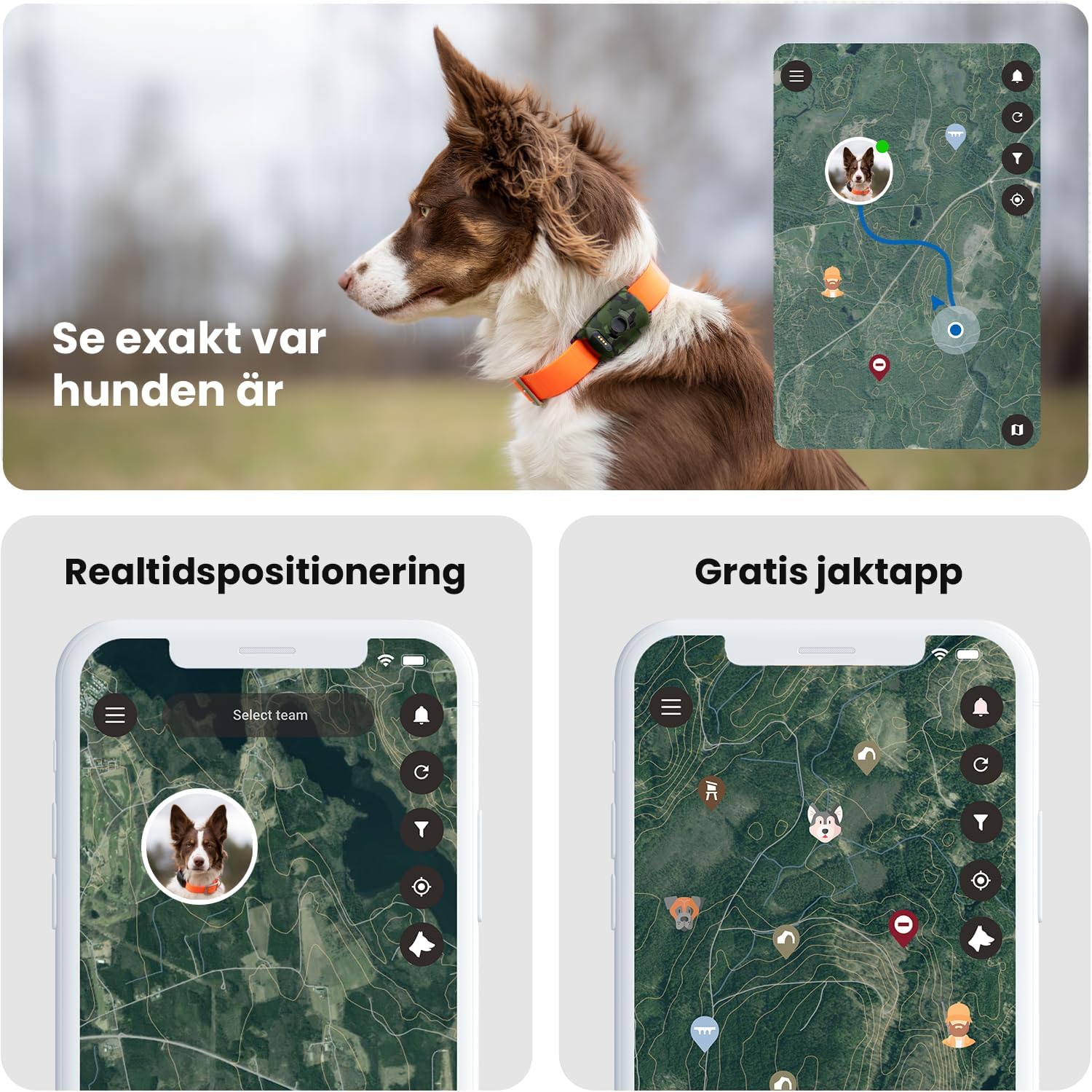 GPS pour chien - GPS de suivi de chien - Excellent ajout au courrier radio