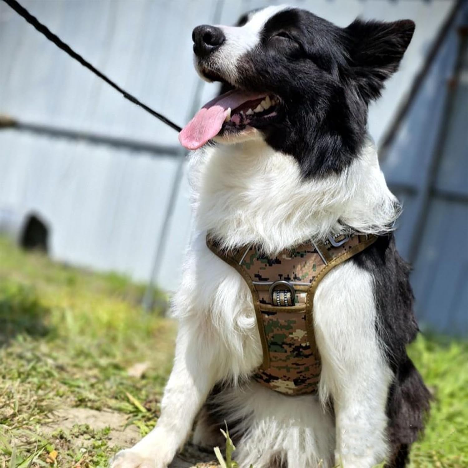 Harnais Robuste Pour Chien - Harnais Réflechissant Anti-Traction pour Chien - Pour Chiens de Taille Moyenne et Grand pour Extérieur Randonnée Chasse Camping