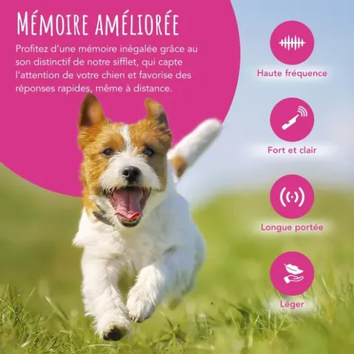 Test Sifflet TDL pour dressage de chien : un petit sifflet qui fait le job sans chichi