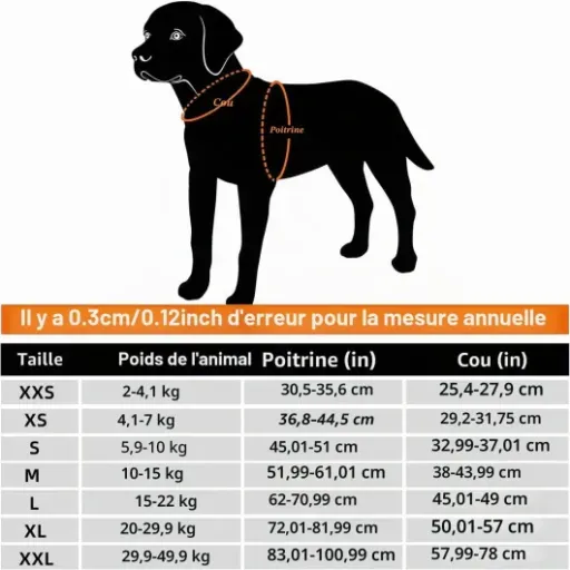 Test Truelove Gilet rafraîchissant pour chien : il fait le job quand ça cogne