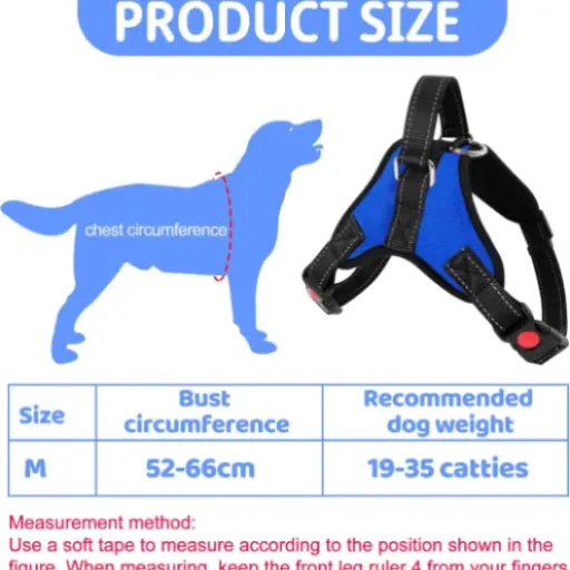 Test TYXHXTF Harnais pour Chien : un harnais pas cher qui fait (à peu près) le job