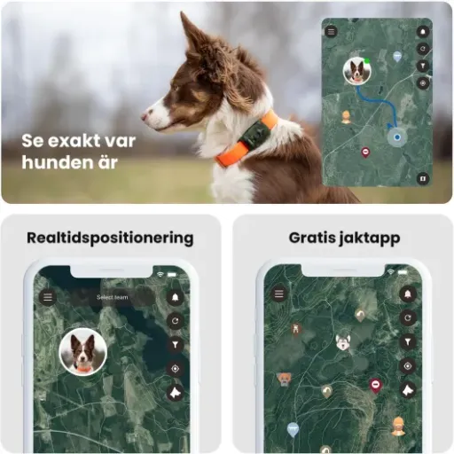 Test MiniFinder Vexo : le collier GPS qui fait le job pour la chasse (mais pas sans compromis)
