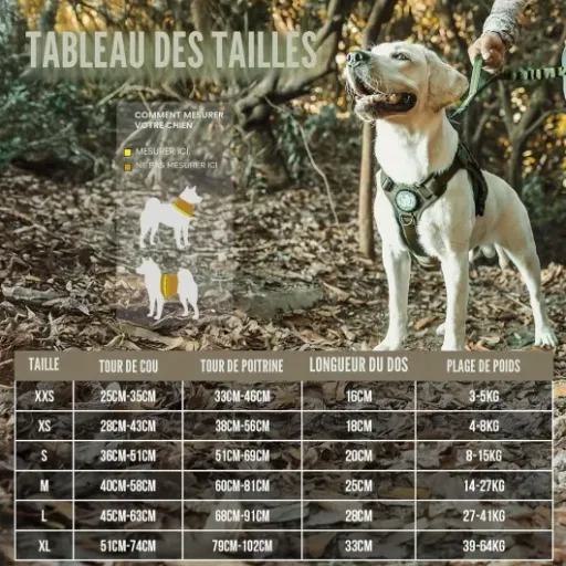 Test OneTigris Harnais Veste/Gilet K9 : un harnais tactique qui tient bien le chien et la route