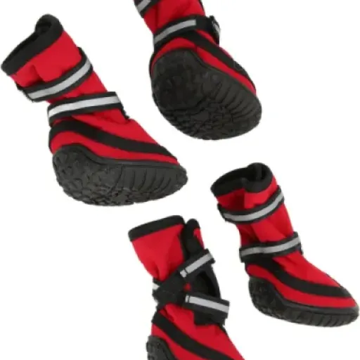 Test Akozon Chaussures de Randonnée pour Chiens (XL) : des bottes simples qui protègent bien les pattes