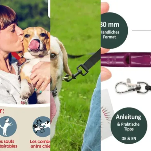 7 meilleurs accessoires de rappel premium : notre comparatif (juin 2026)