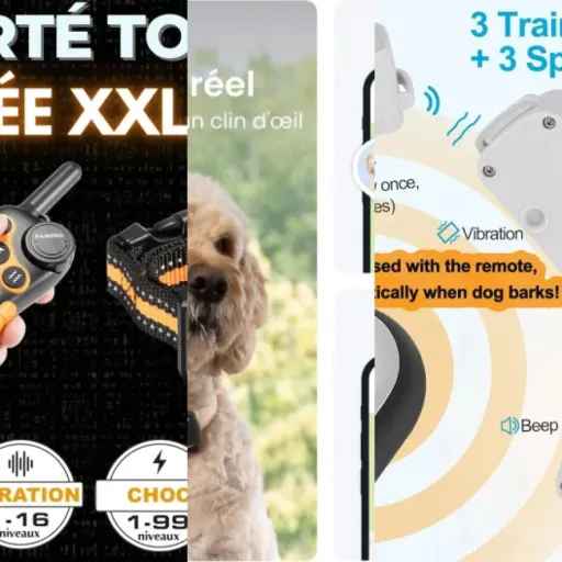 Les 13 meilleurs collier d'éducation chien (juin 2026)
