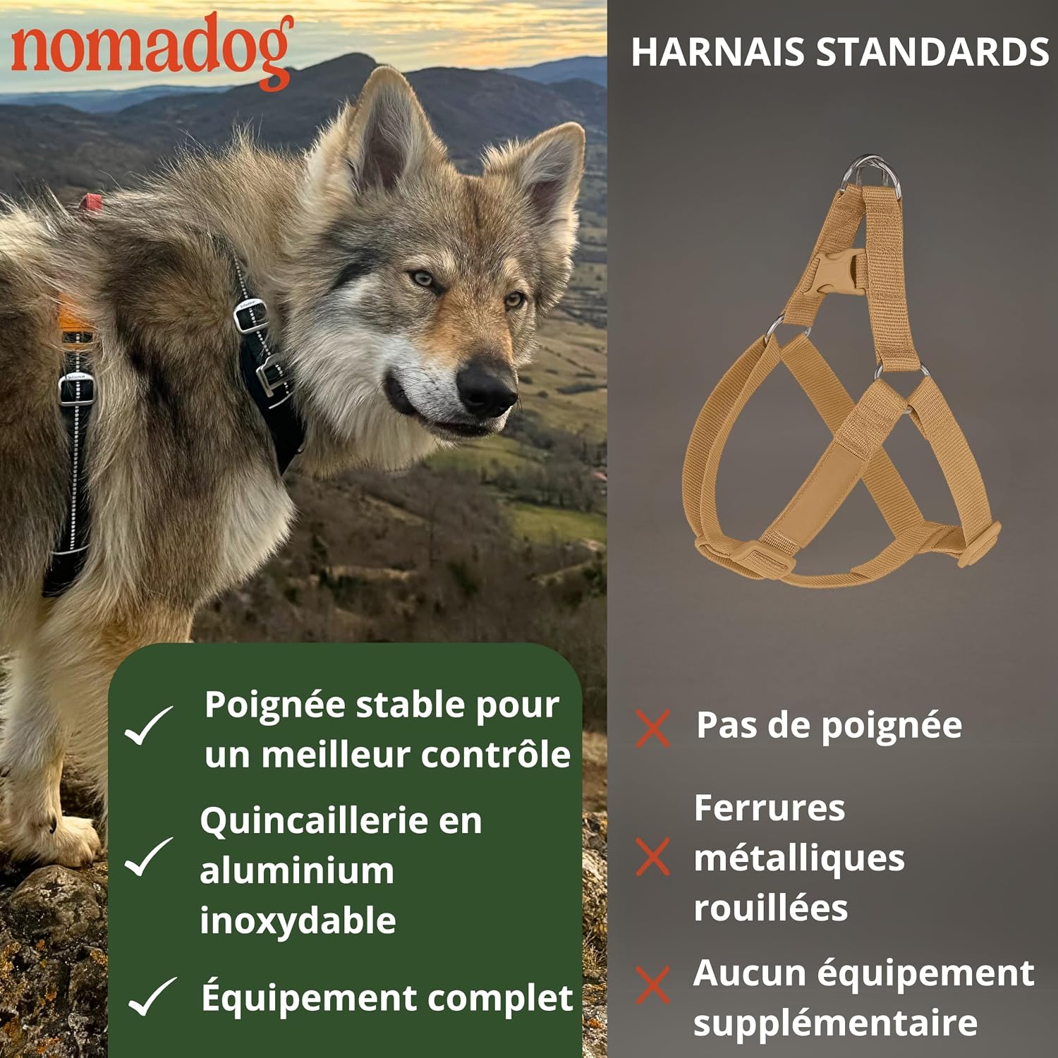 Trailblazer Harnais Anti Traction pour Chien Petit avec Poignée - Harnais Chien Premium, Ajustable, Confortable, Aluminium, Réfléchissant, Écologique, pour Chiens Actifs (S) Vert Racing avec des accents terre cuite et jaune S