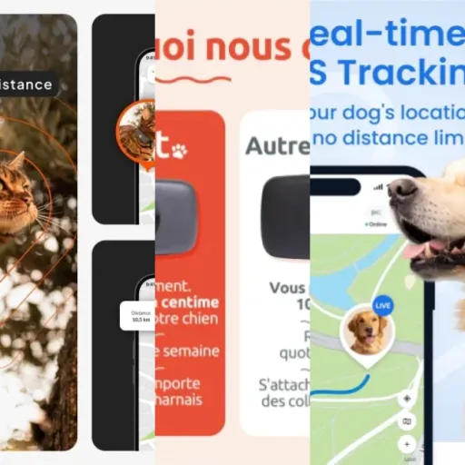 Guide d'achat : les 7 meilleurs balises de localisation pour chien (juin 2026)