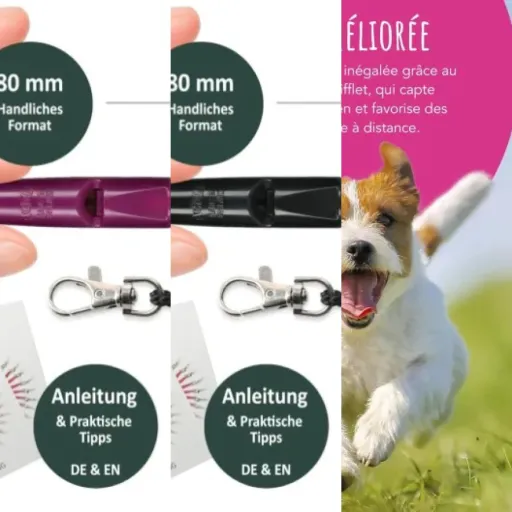 Top Sifflets de rappel longue distance